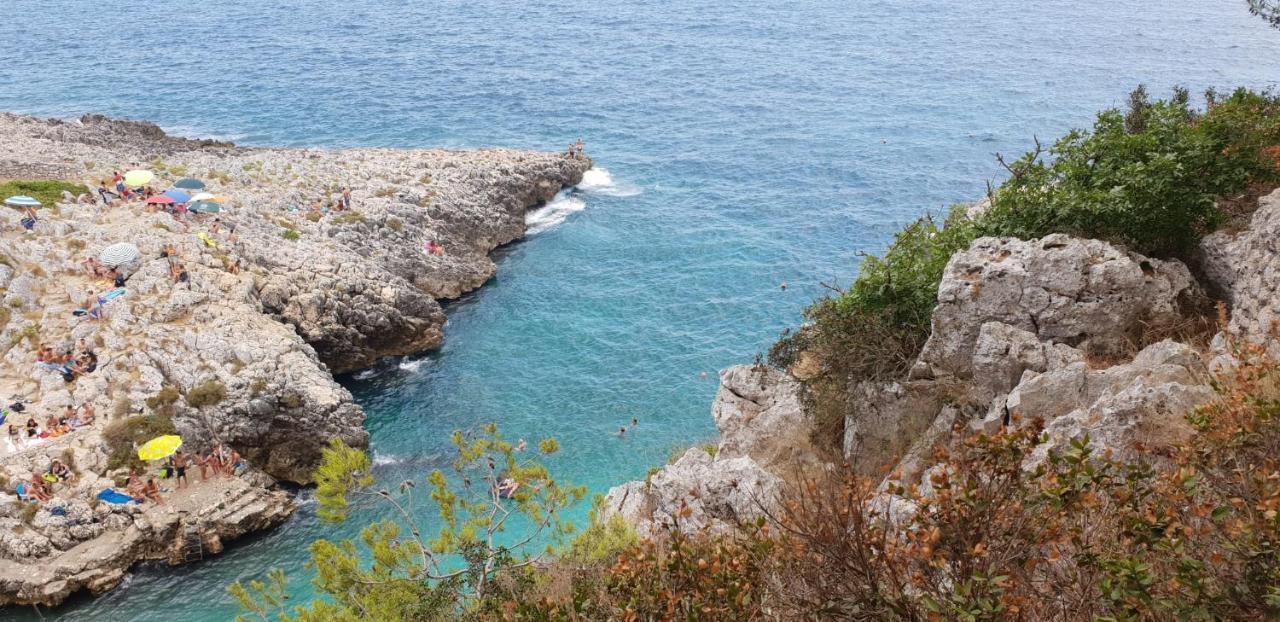Al Grep Holiday home Marittima