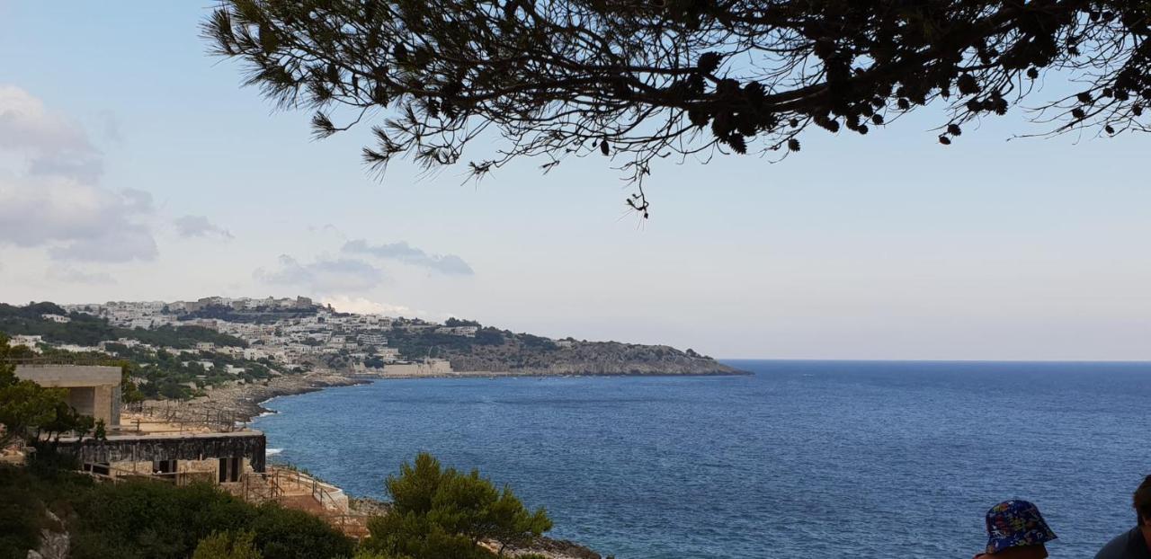 Al Grep Holiday home *